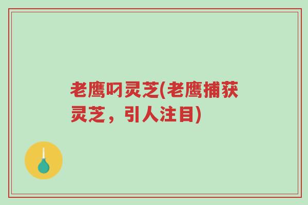 老鹰叼灵芝(老鹰捕获灵芝,引人注目)-第1张图片-超越 老鹰叼灵芝(老鹰捕获灵芝,引人注目)-第1张图片-超越