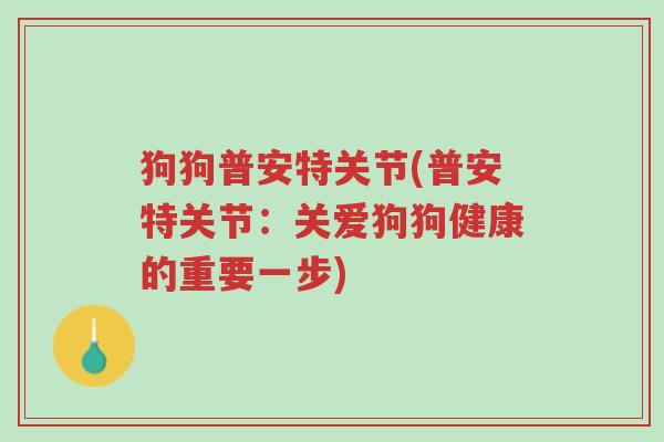 狗狗普安特关节(普安特关节：关爱狗狗健康的重要一步)-第1张图片-超越