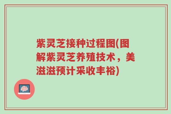 紫灵芝接种过程图(图解紫灵芝养殖技术,美滋滋预计采收丰裕)-第1张图片-超越 紫灵芝接种过程图(图解紫灵芝养殖技术,美滋滋预计采收丰裕)-第1张图片-超越