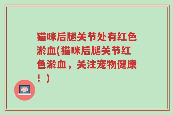 猫咪后腿关节处有红色淤血(猫咪后腿关节红色淤血,关注宠物健康!)-第1张图片-超越 猫咪后腿关节处有红色淤血(猫咪后腿关节红色淤血,关注宠物健康!)-第1张图片-超越