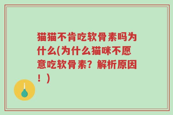 猫猫不肯吃软骨素吗为什么(为什么猫咪不愿意吃软骨素?解析原因!)-第1张图片-超越 猫猫不肯吃软骨素吗为什么(为什么猫咪不愿意吃软骨素?解析原因!)-第1张图片-超越