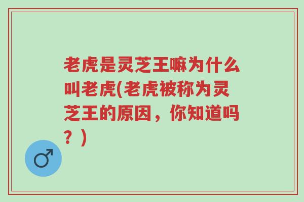 老虎是灵芝王嘛为什么叫老虎(老虎被称为灵芝王的原因，你知道吗？)-第1张图片-超越