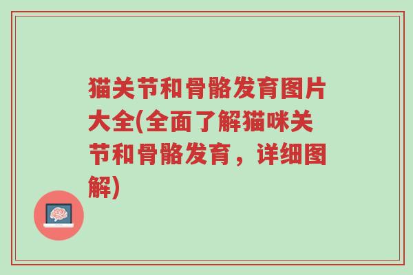 猫关节和骨骼发育图片大全(全面了解猫咪关节和骨骼发育,详细图解)-第1张图片-超越 猫关节和骨骼发育图片大全(全面了解猫咪关节和骨骼发育,详细图解)-第1张图片-超越
