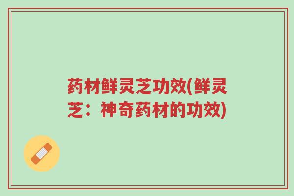药材鲜灵芝功效(鲜灵芝:神奇药材的功效)-第1张图片-超越 药材鲜灵芝功效(鲜灵芝:神奇药材的功效)-第1张图片-超越
