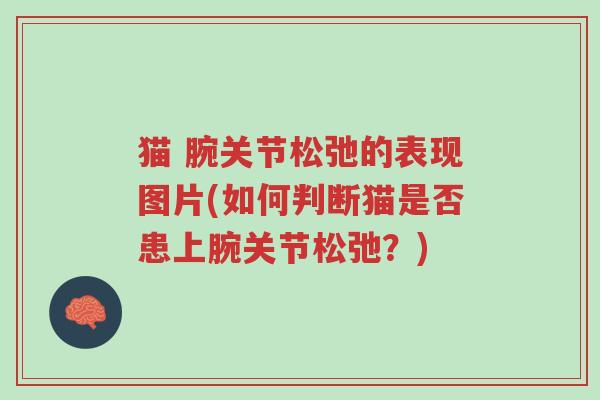 猫 腕关节松弛的表现图片(如何判断猫是否患上腕关节松弛?)-第1张图片-超越 猫 腕关节松弛的表现图片(如何判断猫是否患上腕关节松弛?)-第1张图片-超越