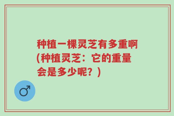 种植一棵灵芝有多重啊(种植灵芝:它的重量会是多少呢?)-第1张图片-超越 种植一棵灵芝有多重啊(种植灵芝:它的重量会是多少呢?)-第1张图片-超越