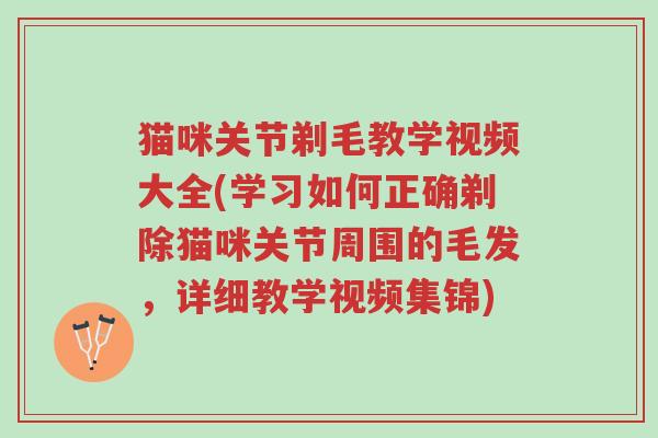 猫咪关节剃毛教学视频大全(学习如何正确剃除猫咪关节周围的毛发,详细教学视频集锦)-第1张图片-超越 猫咪关节剃毛教学视频大全(学习如何正确剃除猫咪关节周围的毛发,详细教学视频集锦)-第1张图片-超越