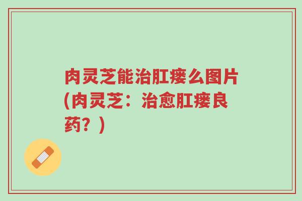 肉灵芝能治肛瘘么图片(肉灵芝:治愈肛瘘良药?)-第1张图片-超越 肉灵芝能治肛瘘么图片(肉灵芝:治愈肛瘘良药?)-第1张图片-超越