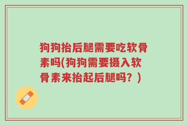 狗狗抬后腿需要吃软骨素吗(狗狗需要摄入软骨素来抬起后腿吗?)-第1张图片-超越 狗狗抬后腿需要吃软骨素吗(狗狗需要摄入软骨素来抬起后腿吗?)-第1张图片-超越
