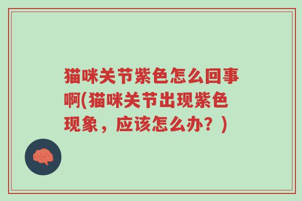 猫咪关节紫色怎么回事啊(猫咪关节出现紫色现象,应该怎么办?)-第1张图片-超越 猫咪关节紫色怎么回事啊(猫咪关节出现紫色现象,应该怎么办?)-第1张图片-超越