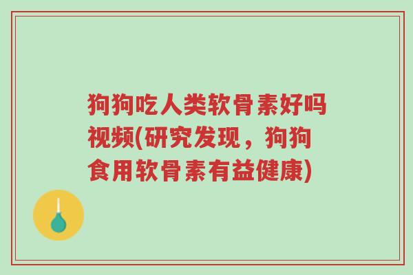 狗狗吃人类软骨素好吗视频(研究发现,狗狗食用软骨素有益健康)-第1张图片-超越 狗狗吃人类软骨素好吗视频(研究发现,狗狗食用软骨素有益健康)-第1张图片-超越