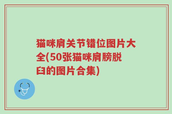 猫咪肩关节错位图片大全(50张猫咪肩膀脱臼的图片合集)-第1张图片-超越