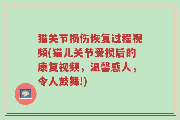 猫关节损伤恢复过程视频(猫儿关节受损后的康复视频,温馨感人,令人鼓舞!)-第1张图片-超越 猫关节损伤恢复过程视频(猫儿关节受损后的康复视频,温馨感人,令人鼓舞!)-第1张图片-超越