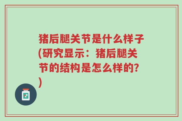 猪后腿关节是什么样子(研究显示:猪后腿关节的结构是怎么样的?)-第1张图片-超越 猪后腿关节是什么样子(研究显示:猪后腿关节的结构是怎么样的?)-第1张图片-超越