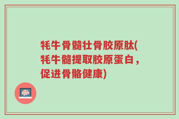 牦牛骨髓壮骨胶原肽(牦牛髓提取胶原蛋白，促进骨骼健康)-第1张图片-超越