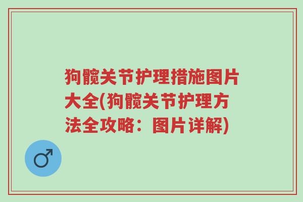 狗髋关节护理措施图片大全(狗髋关节护理方法全攻略:图片详解)-第1张图片-超越 狗髋关节护理措施图片大全(狗髋关节护理方法全攻略:图片详解)-第1张图片-超越