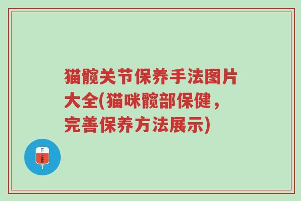 猫髋关节保养手法图片大全(猫咪髋部保健,完善保养方法展示)-第1张图片-超越 猫髋关节保养手法图片大全(猫咪髋部保健,完善保养方法展示)-第1张图片-超越