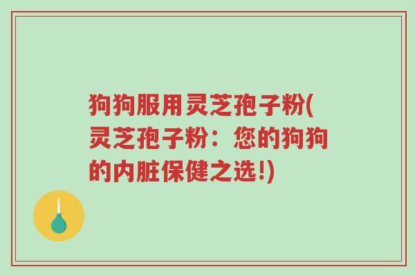 狗狗服用灵芝孢子粉(灵芝孢子粉:您的狗狗的内脏保健之选!)-第1张图片-超越 狗狗服用灵芝孢子粉(灵芝孢子粉:您的狗狗的内脏保健之选!)-第1张图片-超越