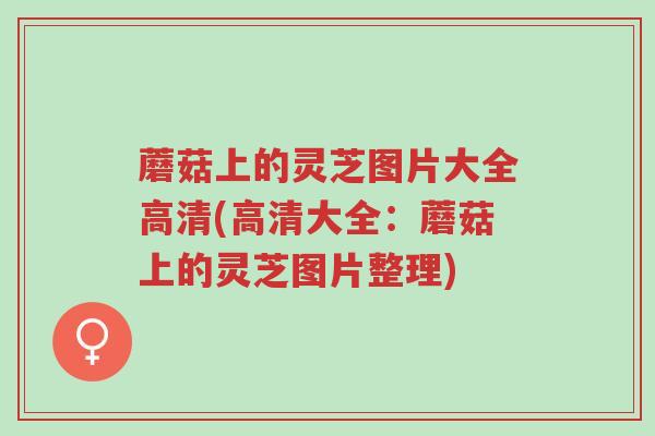 蘑菇上的灵芝图片大全高清(高清大全:蘑菇上的灵芝图片整理)-第1张图片-超越 蘑菇上的灵芝图片大全高清(高清大全:蘑菇上的灵芝图片整理)-第1张图片-超越