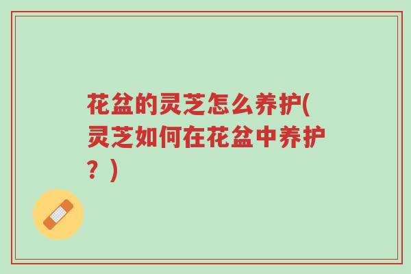 花盆的灵芝怎么养护(灵芝如何在花盆中养护?)-第1张图片-超越 花盆的灵芝怎么养护(灵芝如何在花盆中养护?)-第1张图片-超越