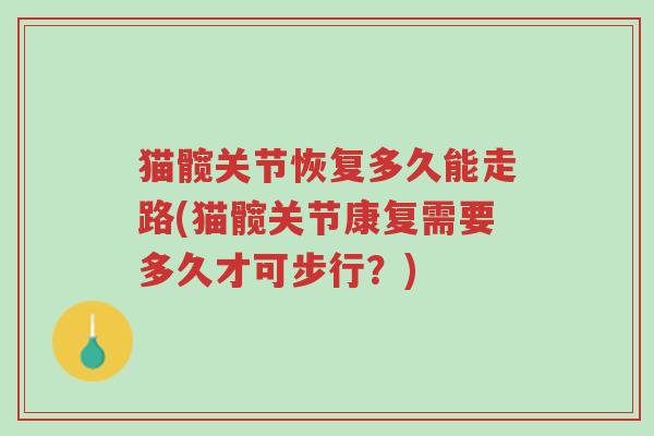 猫髋关节恢复多久能走路(猫髋关节康复需要多久才可步行?)-第1张图片-超越 猫髋关节恢复多久能走路(猫髋关节康复需要多久才可步行?)-第1张图片-超越