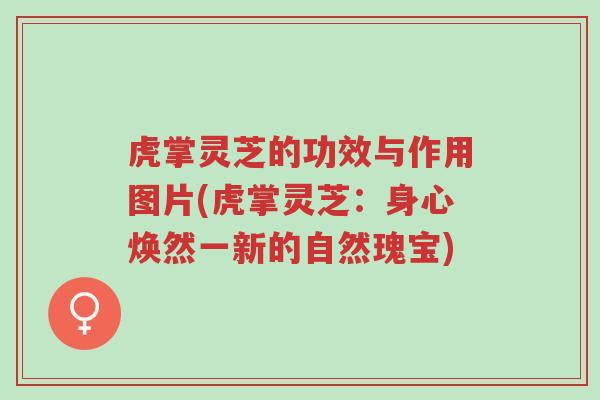 虎掌灵芝的功效与作用图片(虎掌灵芝:身心焕然一新的自然瑰宝)-第1张图片-超越 虎掌灵芝的功效与作用图片(虎掌灵芝:身心焕然一新的自然瑰宝)-第1张图片-超越