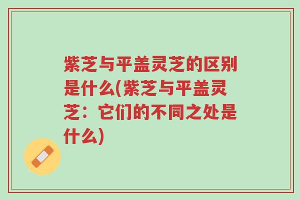 紫芝与平盖灵芝的区别是什么(紫芝与平盖灵芝:它们的不同之处是什么)-第1张图片-超越 紫芝与平盖灵芝的区别是什么(紫芝与平盖灵芝:它们的不同之处是什么)-第1张图片-超越