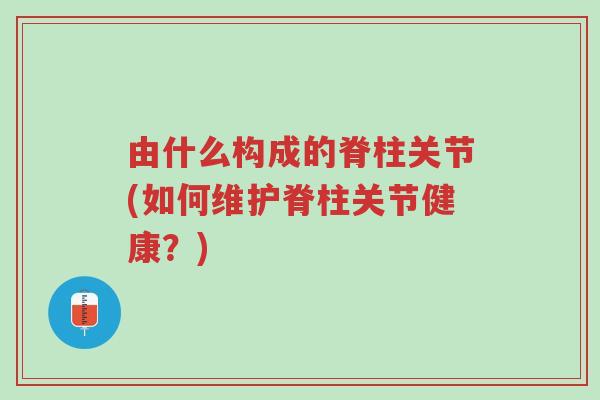 由什么构成的脊柱关节(如何维护脊柱关节健康?)-第1张图片-超越 由什么构成的脊柱关节(如何维护脊柱关节健康?)-第1张图片-超越