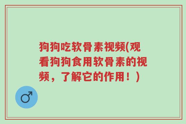 狗狗吃软骨素视频(观看狗狗食用软骨素的视频,了解它的作用!)-第1张图片-超越 狗狗吃软骨素视频(观看狗狗食用软骨素的视频,了解它的作用!)-第1张图片-超越