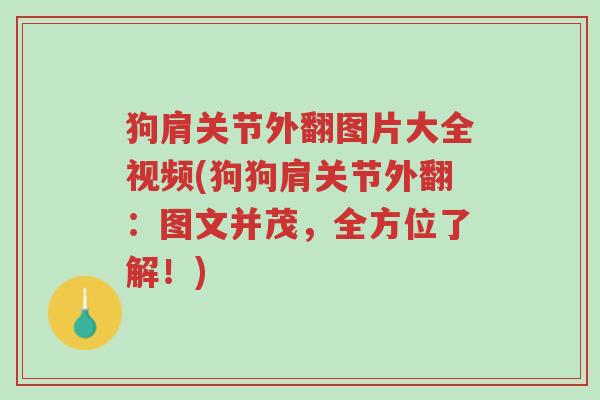 狗肩关节外翻图片大全视频(狗狗肩关节外翻:图文并茂,全方位了解!)-第1张图片-超越 狗肩关节外翻图片大全视频(狗狗肩关节外翻:图文并茂,全方位了解!)-第1张图片-超越