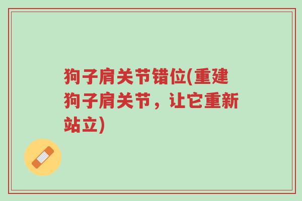 狗子肩关节错位(重建狗子肩关节,让它重新站立)-第1张图片-超越 狗子肩关节错位(重建狗子肩关节,让它重新站立)-第1张图片-超越