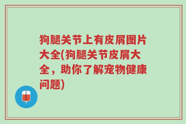 狗腿关节上有皮屑图片大全(狗腿关节皮屑大全，助你了解宠物健康问题)-第1张图片-超越
