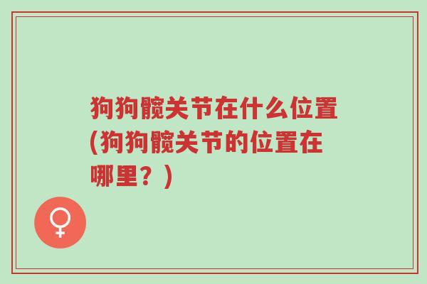 狗狗髋关节在什么位置(狗狗髋关节的位置在哪里?)-第1张图片-超越 狗狗髋关节在什么位置(狗狗髋关节的位置在哪里?)-第1张图片-超越