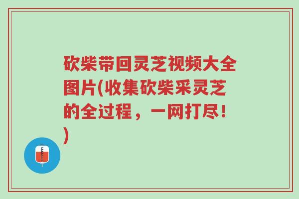 砍柴带回灵芝视频大全图片(收集砍柴采灵芝的全过程，一网打尽！)-第1张图片-超越