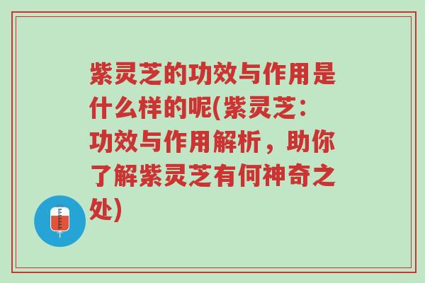 紫灵芝的功效与作用是什么样的呢(紫灵芝:功效与作用解析,助你了解紫灵芝有何神奇之处)-第1张图片-超越 紫灵芝的功效与作用是什么样的呢(紫灵芝:功效与作用解析,助你了解紫灵芝有何神奇之处)-第1张图片-超越