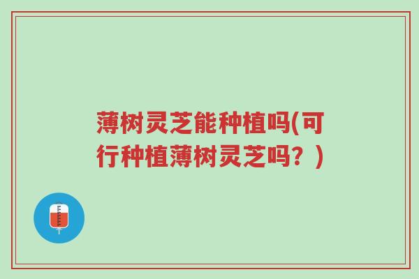 薄树灵芝能种植吗(可行种植薄树灵芝吗?)-第1张图片-超越 薄树灵芝能种植吗(可行种植薄树灵芝吗?)-第1张图片-超越
