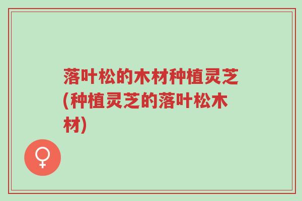 落叶松的木材种植灵芝(种植灵芝的落叶松木材)-第1张图片-超越 落叶松的木材种植灵芝(种植灵芝的落叶松木材)-第1张图片-超越