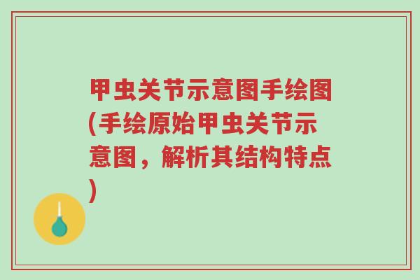 甲虫关节示意图手绘图(手绘原始甲虫关节示意图,解析其结构特点)-第1张图片-超越 甲虫关节示意图手绘图(手绘原始甲虫关节示意图,解析其结构特点)-第1张图片-超越