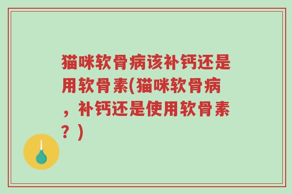 猫咪软骨病该补钙还是用软骨素(猫咪软骨病,补钙还是使用软骨素?)-第1张图片-超越 猫咪软骨病该补钙还是用软骨素(猫咪软骨病,补钙还是使用软骨素?)-第1张图片-超越
