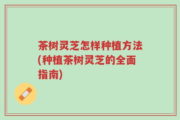 茶树灵芝怎样种植方法(种植茶树灵芝的全面指南)-第1张图片-超越 茶树灵芝怎样种植方法(种植茶树灵芝的全面指南)-第1张图片-超越