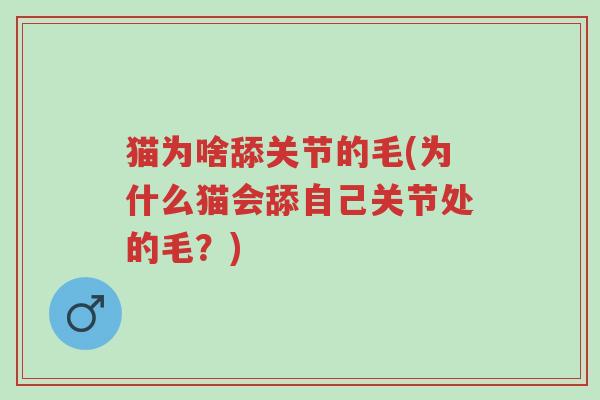 猫为啥舔关节的毛(为什么猫会舔自己关节处的毛?)-第1张图片-超越 猫为啥舔关节的毛(为什么猫会舔自己关节处的毛?)-第1张图片-超越