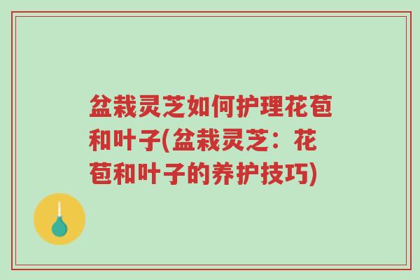 盆栽灵芝如何护理花苞和叶子(盆栽灵芝:花苞和叶子的养护技巧)-第1张图片-超越 盆栽灵芝如何护理花苞和叶子(盆栽灵芝:花苞和叶子的养护技巧)-第1张图片-超越