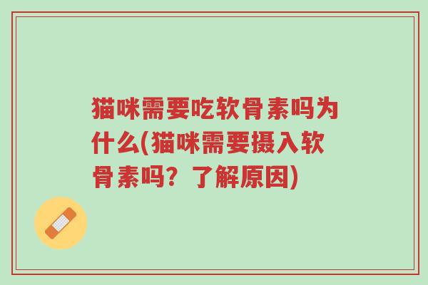 猫咪需要吃软骨素吗为什么(猫咪需要摄入软骨素吗?了解原因)-第1张图片-超越 猫咪需要吃软骨素吗为什么(猫咪需要摄入软骨素吗?了解原因)-第1张图片-超越