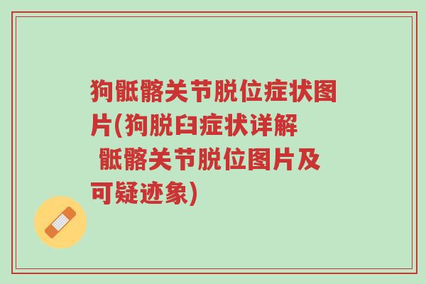 狗骶髂关节脱位症状图片(狗脱臼症状详解 骶髂关节脱位图片及可疑迹象)-第1张图片-超越 狗骶髂关节脱位症状图片(狗脱臼症状详解 骶髂关节脱位图片及可疑迹象)-第1张图片-超越