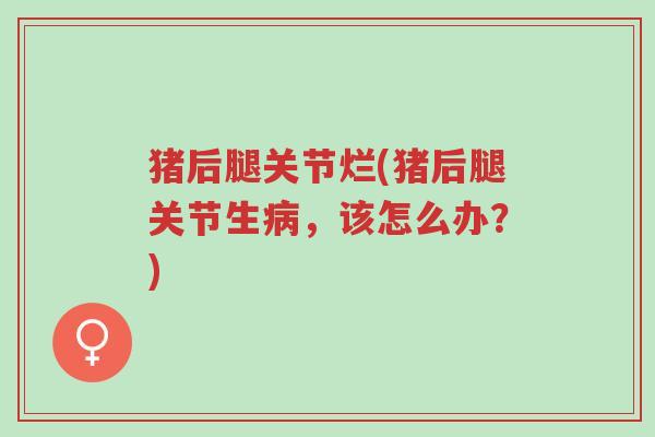 猪后腿关节烂(猪后腿关节生病,该怎么办?)-第1张图片-超越 猪后腿关节烂(猪后腿关节生病,该怎么办?)-第1张图片-超越