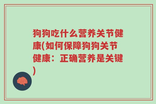 狗狗吃什么营养关节健康(如何保障狗狗关节健康:正确营养是关键)-第1张图片-超越 狗狗吃什么营养关节健康(如何保障狗狗关节健康:正确营养是关键)-第1张图片-超越