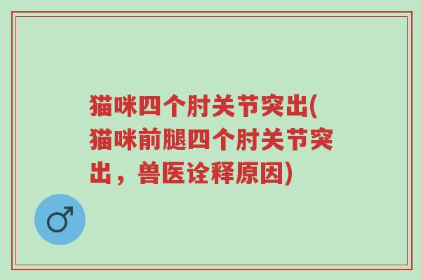 猫咪四个肘关节突出(猫咪前腿四个肘关节突出,兽医诠释原因)-第1张图片-超越 猫咪四个肘关节突出(猫咪前腿四个肘关节突出,兽医诠释原因)-第1张图片-超越