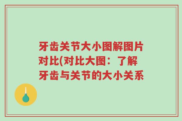 牙齿关节大小图解图片对比(对比大图:了解牙齿与关节的大小关系-第1张图片-超越 牙齿关节大小图解图片对比(对比大图:了解牙齿与关节的大小关系-第1张图片-超越