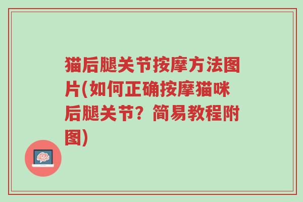 猫后腿关节按摩方法图片(如何正确按摩猫咪后腿关节?简易教程附图)-第1张图片-超越 猫后腿关节按摩方法图片(如何正确按摩猫咪后腿关节?简易教程附图)-第1张图片-超越