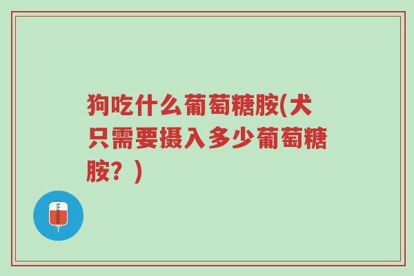 狗吃什么葡萄糖胺(犬只需要摄入多少葡萄糖胺?)-第1张图片-超越 狗吃什么葡萄糖胺(犬只需要摄入多少葡萄糖胺?)-第1张图片-超越